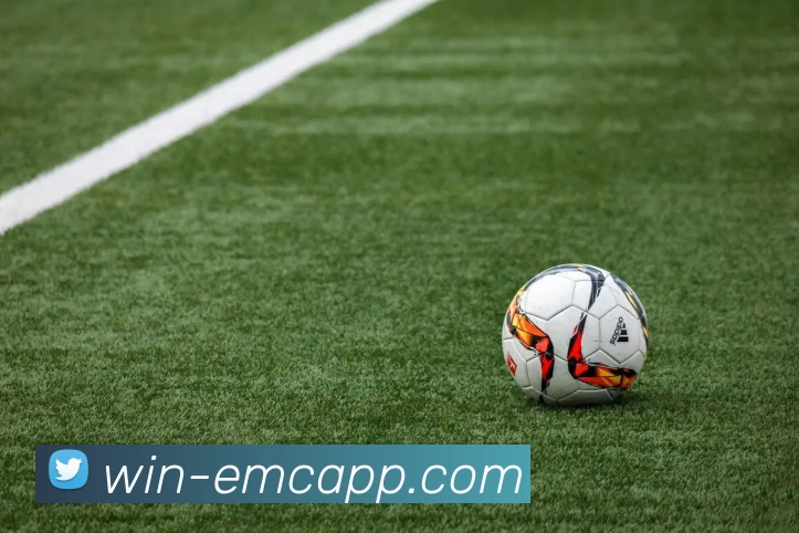 易倍体育APP 封面图